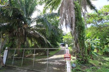 Land for sale in Mae Raem, Chiang Mai