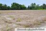 Land for sale in Huai Kapi, Chonburi