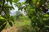 Land for sale in Na Jomtien, Chonburi