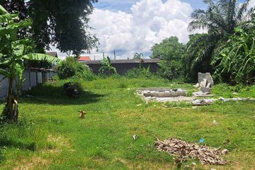 Land for sale in Nong Prue, Chonburi