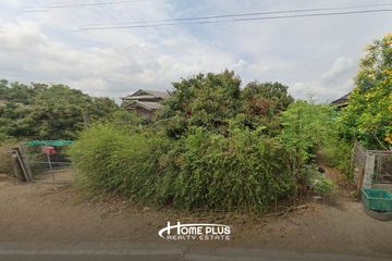 Land for sale in Doi Lo, Chiang Mai