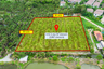 Land for sale in Tha Kham, Bangkok