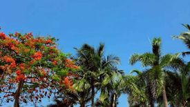 2 Bedroom Condo for rent in Baan Sanploen, Hua Hin, Prachuap Khiri Khan