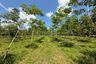 Land for sale in Nong Thale, Krabi