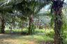 Land for sale in Nong Thale, Krabi