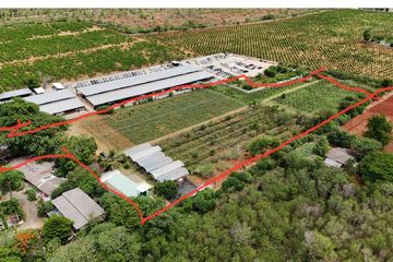 Land for sale in Pak Chong, Nakhon Ratchasima