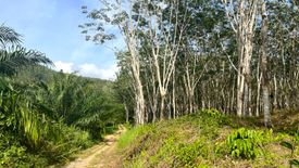 Land for sale in Tha Yu, Phang Nga