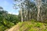 Land for sale in Tha Yu, Phang Nga