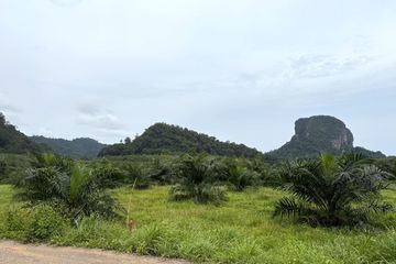 Land for sale in Nong Thale, Krabi