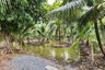Land for sale in Bang Yang, Samut Sakhon