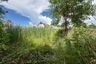 Land for sale in Samet, Chonburi