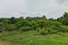 Land for sale in Sattahip, Chonburi