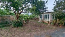 Land for sale in Chom Phu, Chiang Mai