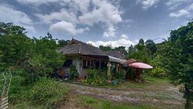 Land for sale in Chom Phu, Chiang Mai