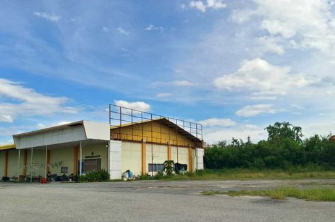 Land for sale in Makhun Wan, Chiang Mai