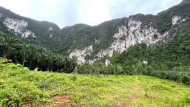 Land for sale in Nong Thale, Krabi