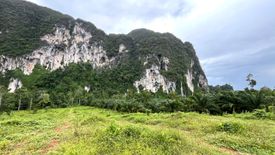 Land for sale in Nong Thale, Krabi