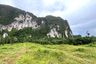 Land for sale in Nong Thale, Krabi