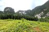 Land for sale in Nong Thale, Krabi
