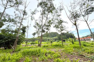 Land for sale in Ao Nang, Krabi