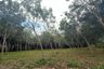 Land for sale in Khao Thong, Krabi