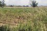 Land for sale in Nam Cho, Lampang