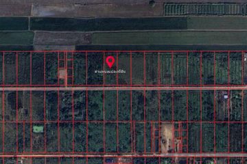 Land for sale in Bueng Ba, Pathum Thani