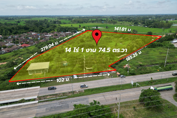 Land for sale in Wang Thong, Phitsanulok