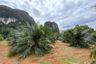Land for sale in Khao Thong, Krabi