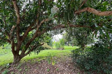 Land for sale in Surasak, Chonburi