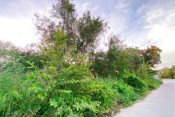 Land for sale in Phla, Rayong