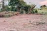 Land for sale in Nong No, Saraburi