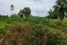 Land for sale in Pak Raet, Ratchaburi
