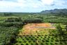 Land for sale in Sai Thai, Krabi