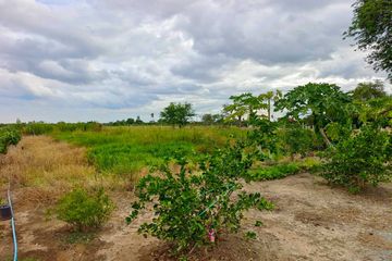 Land for sale in Pho Phraya, Suphan Buri