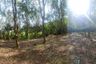 Land for sale in Hat Phan Krai, Chumphon