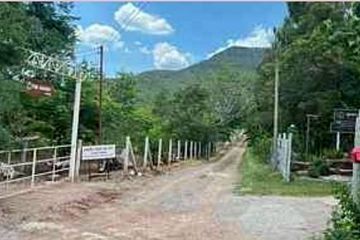 Land for sale in Wang Sai, Nakhon Ratchasima