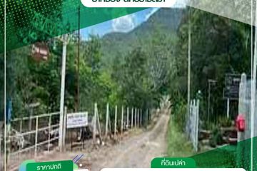 Land for sale in Wang Sai, Nakhon Ratchasima