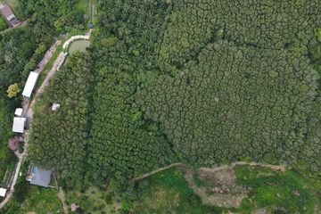 Land for sale in Nong Thale, Krabi