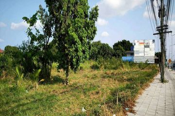 Land for sale in Nong Prue, Chonburi