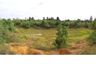 Land for sale in Boek Phrai, Ratchaburi
