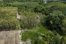 Land for sale in Sai Thai, Krabi