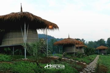 Land for sale in Si Dong Yen, Chiang Mai