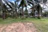 Land for sale in Nong Thale, Krabi