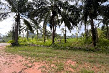 Land for sale in Nong Thale, Krabi