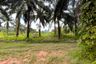 Land for sale in Nong Thale, Krabi