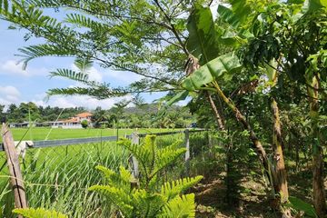 Land for sale in Choeng Doi, Chiang Mai