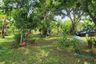 Land for sale in Choeng Doi, Chiang Mai