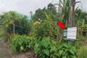 Land for sale in Nai Mueang, Nakhon Si Thammarat