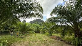 Land for Sale or Rent in Sai Thai, Krabi